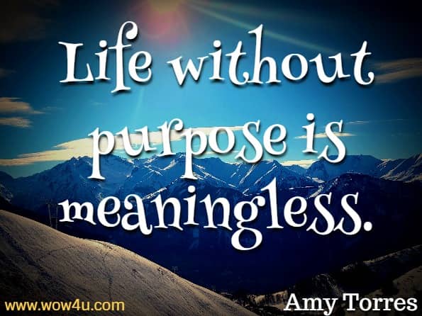 Life without purpose is meaningless. Amy Torres,  Sweet Dreams of Awakening 
