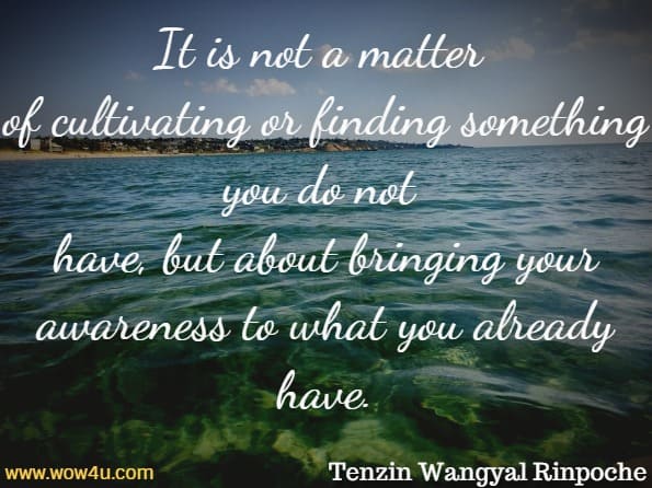 It is not a matter of cultivating or finding something you do not have, but about bringing your awareness to what you already have. Tenzin Wangyal Rinpoche
