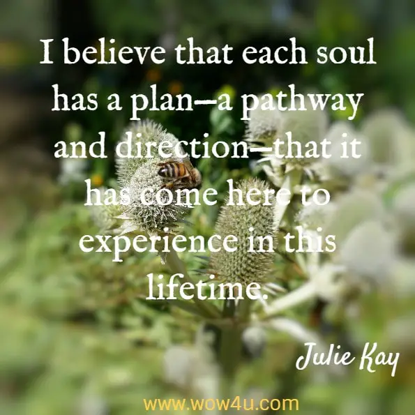 I believe that each soul has a plan—a pathway and direction—that it has come here to experience in this lifetime. Julie Kay, Soul Lessons to Soul Mate
