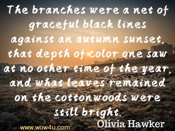 The branches were a net of graceful black lines against an autumn sunset, that depth of color one saw at no other time of the year, and what leaves remained on the cottonwoods were still bright. Olivia Hawker, One For The Blackbird And One For The Crow
 
