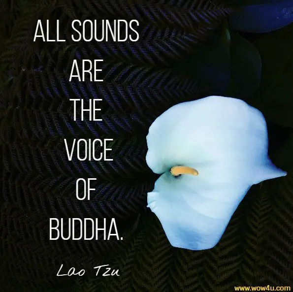 All sounds are the voice of Buddha. Lao Tzu, ‎Takuan Soho, Tao Te Ching: Zen Teachings on the Taoist Classic

 