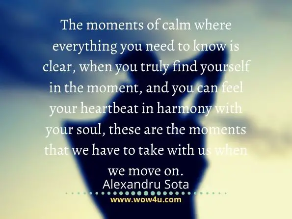 The moments of calm where everything you need to know is clear, when you truly find yourself in the moment, and you can feel your heartbeat in harmony with your soul, these are the moments that we have to take with us when we move on.
Alexandru Sota, Calm in the Moment