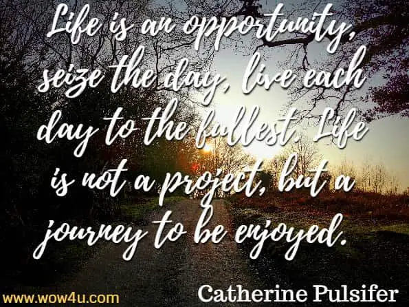 Life is an opportunity, seize the day, live each day to the fullest. Life is not a project, but a journey to be enjoyed. Catherine Pulsifer