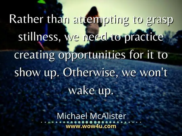 Rather than attempting to grasp stillness, we need to practice creating opportunities for it to show up. Otherwise, we won't wake up.  Michael McAlister
 