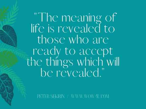 The meaning of life is revealed to those who are ready to accept the things which will be revealed.
Peter Sekirin, ‎Leo Tolstoy, A Calendar of Wisdom
