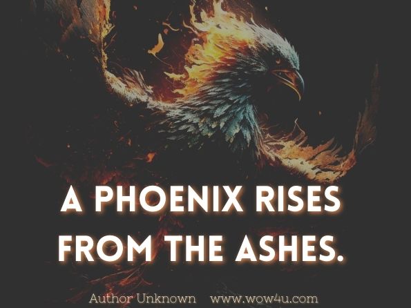 A phoenix rises from the ashes.
