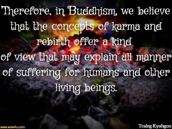 Therefore, in Buddhism, we believe that the concepts of karma and rebirth offer a kind of view that may explain all manner of suffering for humans and other living beings.
 