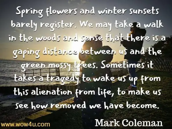 Spring flowers and winter sunsets barely register. We may take a walk in the woods and sense that there is a gaping distance between us and the green mossy trees. Sometimes it takes a tragedy to wake us up from this alienation from life, to make us see how removed we have become.
