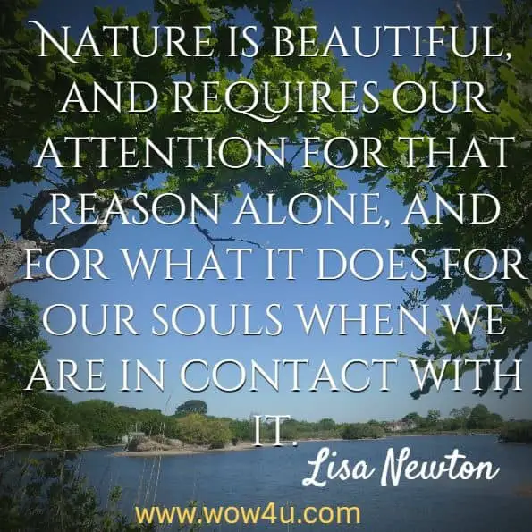 Nature is beautiful, and requires our attention for that reason alone, and for what it does for our souls when we are in contact with it.
Lisa Newton, The American Experience in Environmental Protection
 