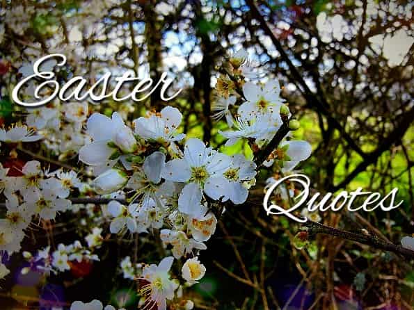 Easter quotes 