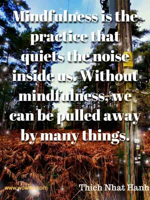 Mindfulness is the practice that quiets the noise inside us. Without mindfulness, we can be pulled away by many things. Thich Nhat Hanh, Silence.
