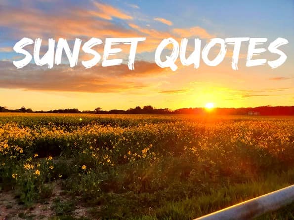 sunset,quote,field,uk 