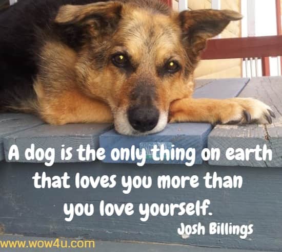 A dog is the only thing on earth that loves you more than you love yourself. Josh Billings