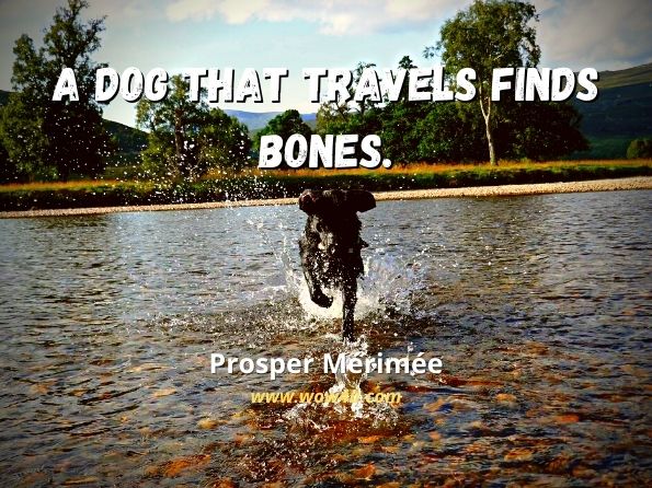 A Dog that travels finds bones. Prosper Mérimée, Carmen