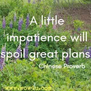 A little impatience will spoil great plans. Chinese Proverb 