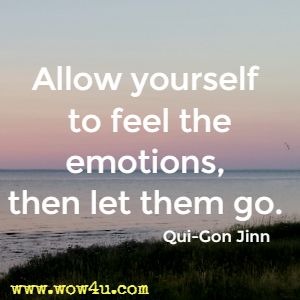 Allow yourself to feel the emotions, then let them go. Qui-Gon Jinn 
