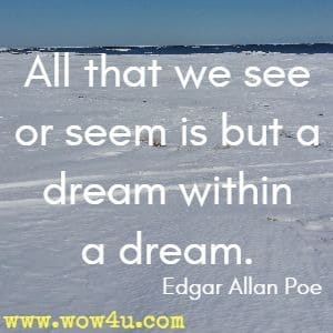 All that we see or seem is but a dream within a dream. 
Edgar Allan Poe