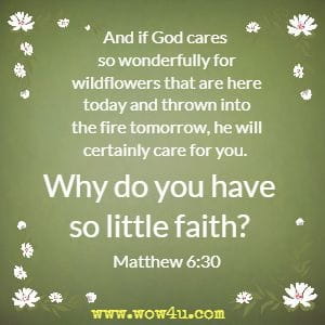 And if God cares so wonderfully for wildflowers that are here today and thrown into the fire tomorrow, he will certainly care for you. Why do you have so little faith? 
Matthew 6:30 
