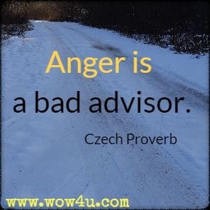 Anger is a bad advisor. Czech Proverb 