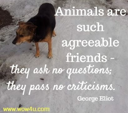Animals are such agreeable friends - they ask no questions; they pass no criticisms. George Eliot