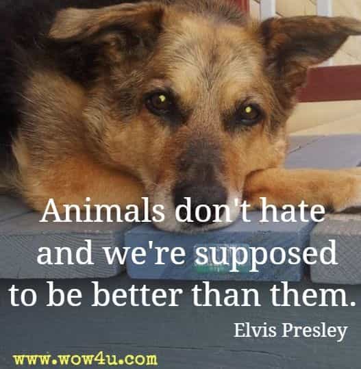 Animals don't hate and we're supposed to be better than them. Elvis Presley