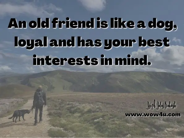  An old friend is like a dog, loyal and has your best interests in mind. Joseph Julius Bonkowski, Jr, Quote Me the Book of All New Quotes  