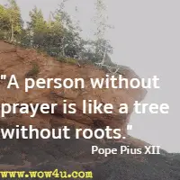 A person without prayer is like a tree without roots. Pope Pius XII