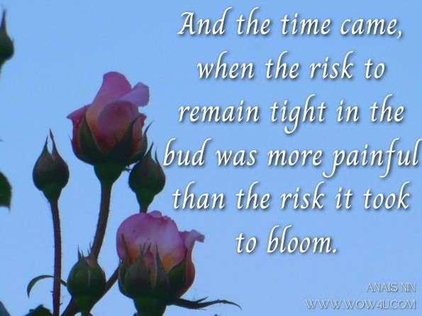 And the time came, when the risk to remain tight in the bud was more painful than the risk it took to bloom. Anais Nin