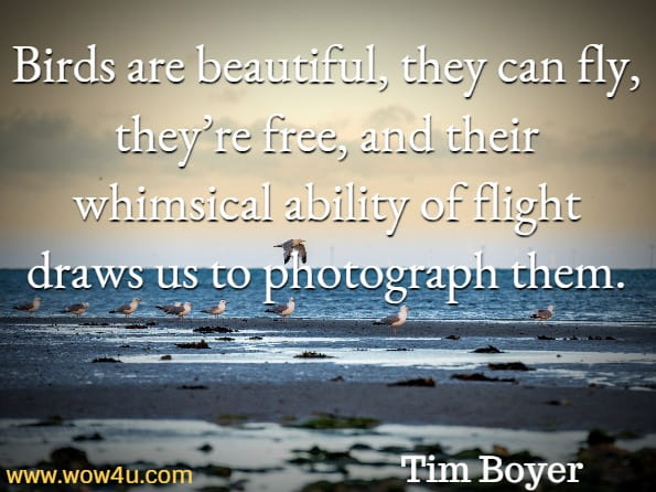 Birds are beautiful, they can fly, they’re free, and their whimsical ability of flight draws us to photograph them.Tim Boyer, Learn the Art of Bird Photography