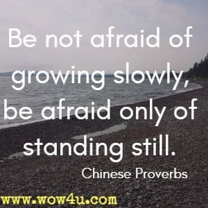 Be not afraid of growing slowly, be afraid only of standing still. Chinese Proverbs 