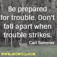 Be prepared for trouble. Don't fall apart when trouble strikes. Carl Sommer