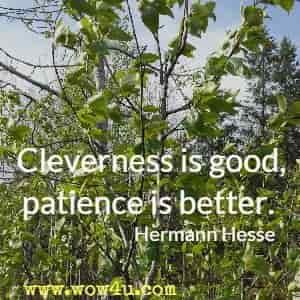 Cleverness is good, patience is better. Hermann Hesse