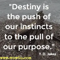 Destiny is the push of our instincts to the pull of our purpose. T. D. Jakes