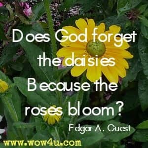 Does God forget the daisies because the roses bloom? Edgar A Guest