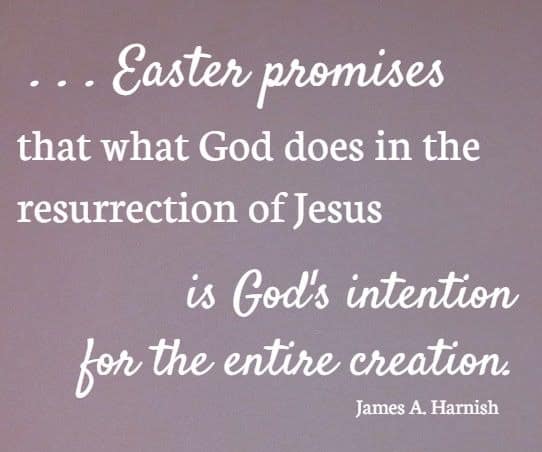 . . .  Easter promises that what God does in the resurrection of Jesus is God's intention for the entire creation. James A. Harnish