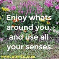 Enjoy whats around you, and use all your senses.