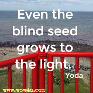 Even the blind seed grows to the light.   Yoda 