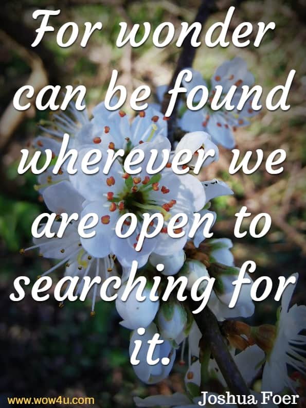 For wonder can be found wherever we are open to searching for it.
