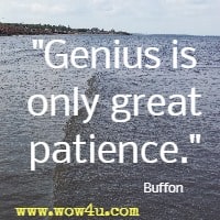 Genius is only great patience. Buffon 