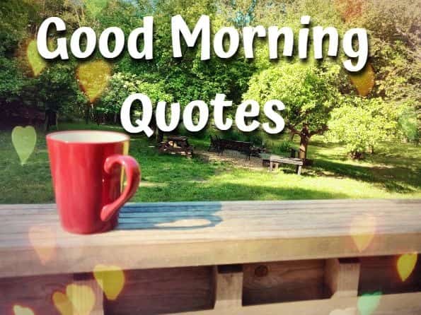 Goodmorning,quotes,cup,trees 
