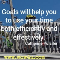 Goals will help you to use your time both efficiently and effectively.  Catherine Pulsifer