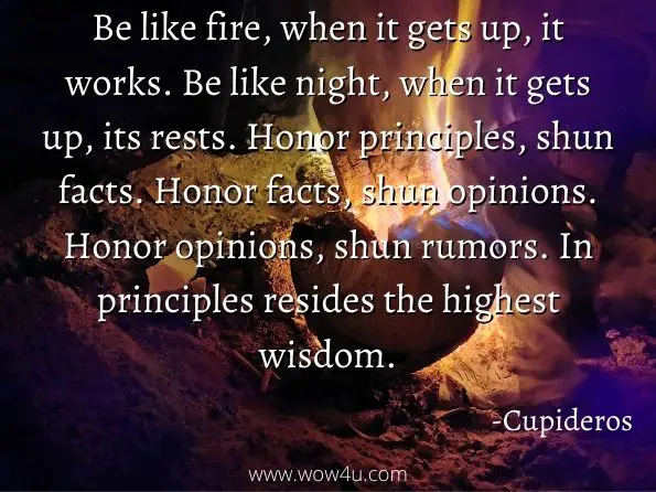 Be like fire, when it gets up, it works. Be like night, when it gets up, its rests. Honor principles, shun facts. Honor facts, shun opinions. Honor opinions, shun rumors. In principles resides the highest wisdom. Cupideros, Cosco's Wisdom Scroll
