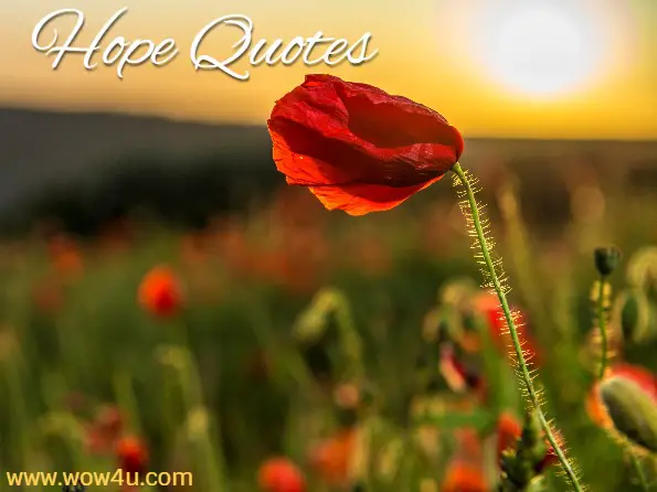 Hope quotes, poppyfield