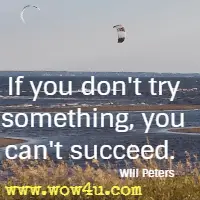 If you don't try something, you can't succeed.  Will Peters