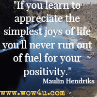 If you learn to appreciate the simplest joys of life you'll never run out of fuel for your positivity. Maulin Hendriks