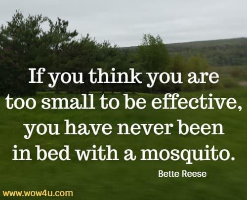 If you think you are too small to be effective, 
you have never been in bed with a mosquito. Bette Reese