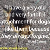 I have a very old and very faithful attachment for dogs. I like them because they always forgive. Albert Camus