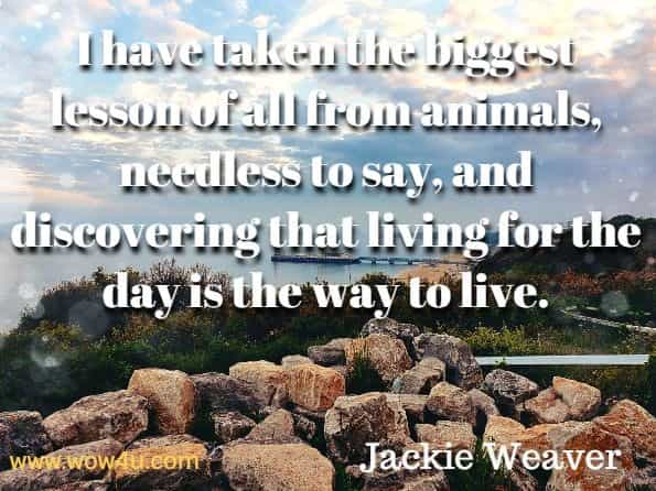 I have taken the biggest lesson of all from animals, needless to say, and discovering that living for the day is the way to live. Jackie Weaver, Real Animal Communication Stories No. 7.
