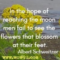 In the hope of reaching the moon men fail to see the flowers that blossom at their feet.  Albert Schweitzer 