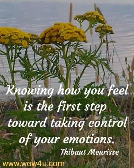 Knowing how you feel is the first step toward taking control of your emotions.  Thibaut Meurisse